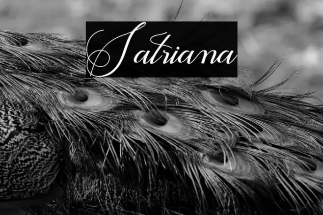 Satriana Font examples