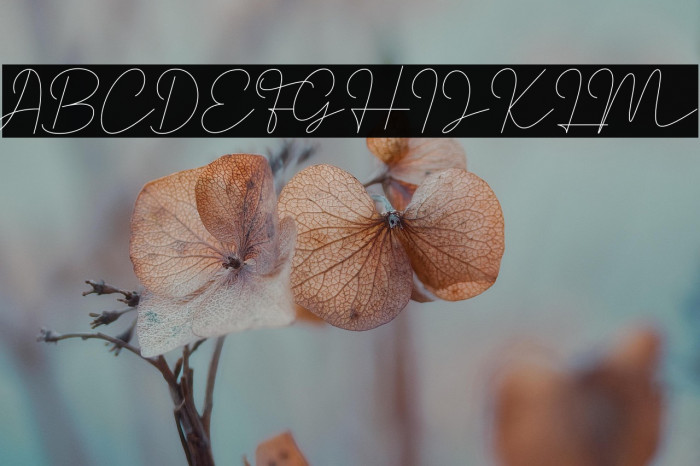 Satrinah Demo Example 1