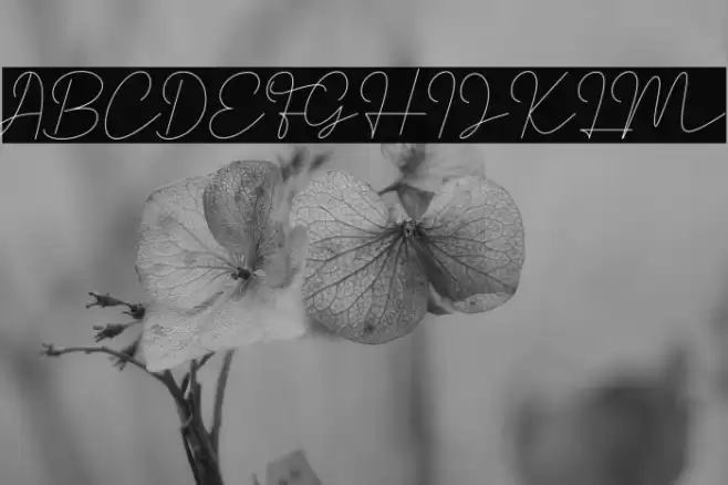 Satrinah Demo Font examples