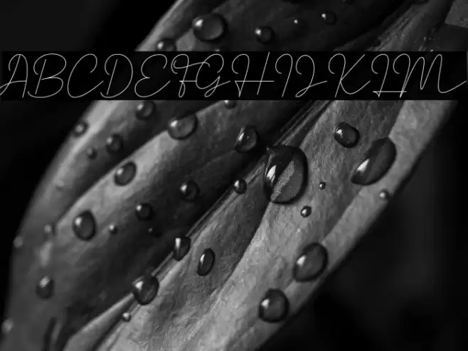 Satrinah Demo Font examples