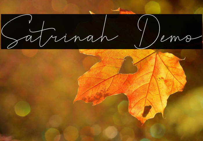 Satrinah Demo Example 1