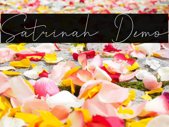 Satrinah Demo Example 2