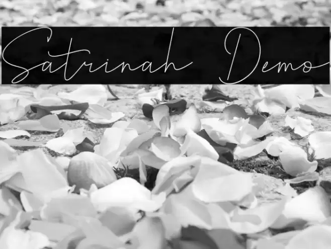 Satrinah Demo Font examples