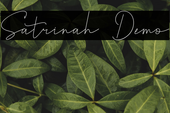 Satrinah Demo Example 3