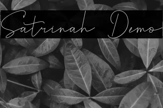 Satrinah Demo Font examples