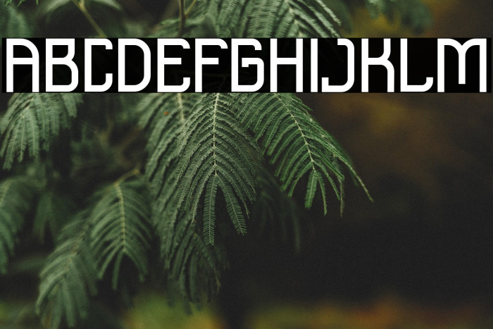 Satriya Demo Example 3