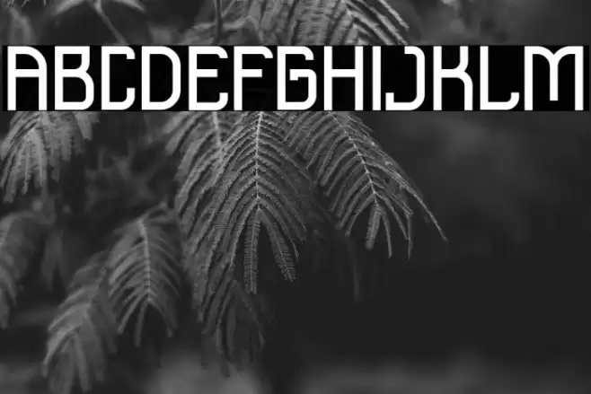 Satriya Demo Font examples