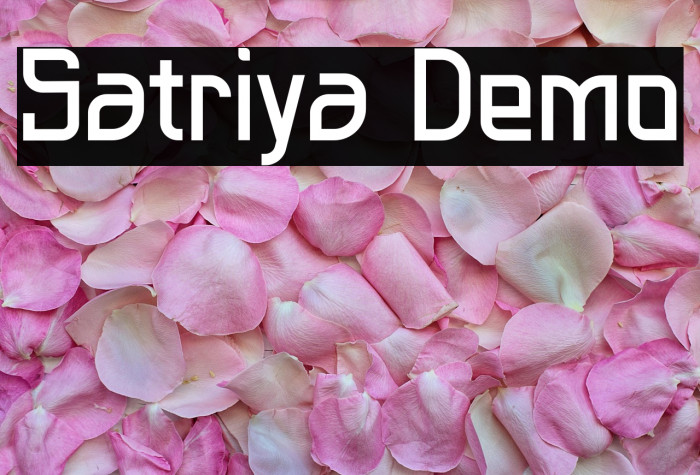 Satriya Demo Example 1