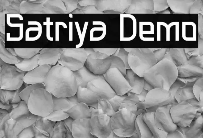 Satriya Demo Font examples