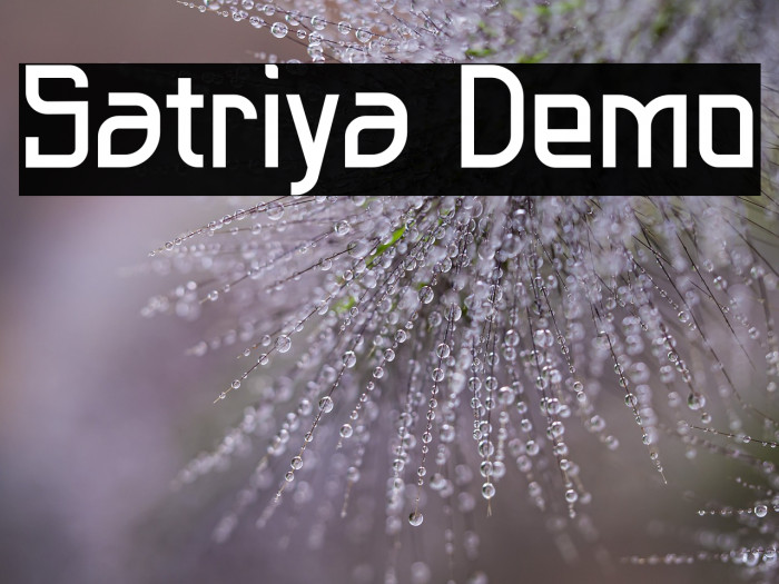 Satriya Demo Example 3