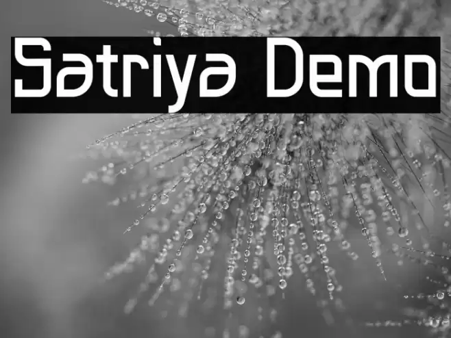 Satriya Demo Font examples