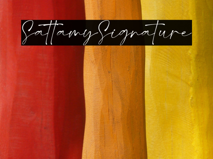 SattamySignature Example 1