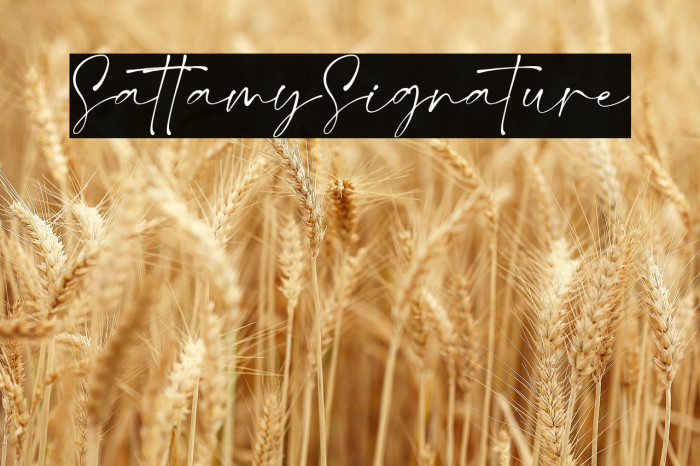 SattamySignature Example 2