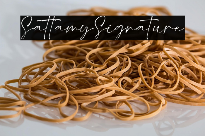 SattamySignature Example 3