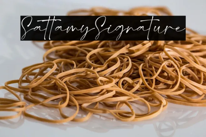 SattamySignature Example 3