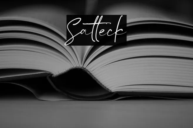 Satteck Example 1