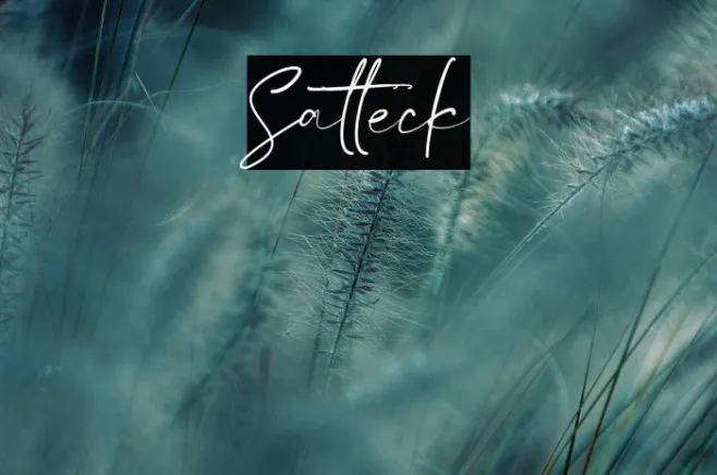 Satteck Example 3