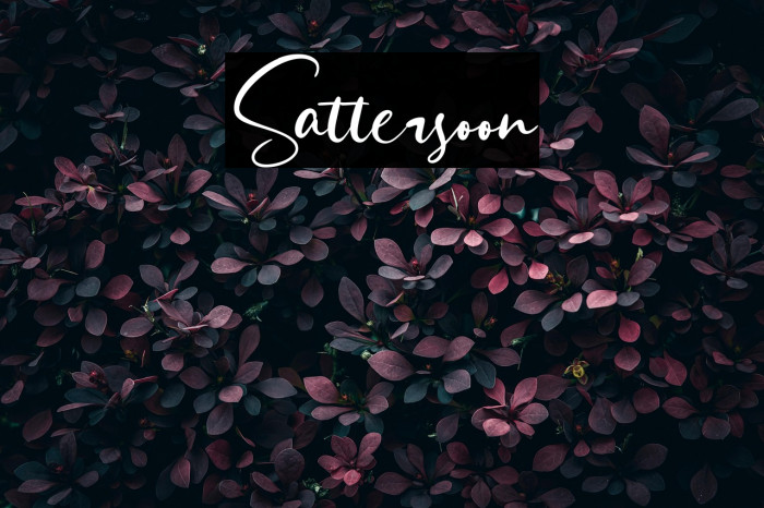 Sattersoon Example 1