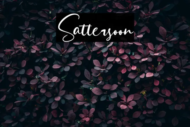 Sattersoon Example 1