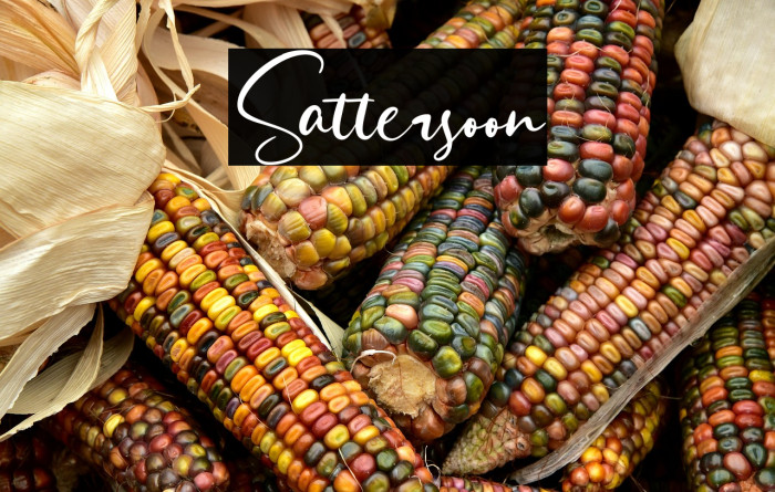 Sattersoon Example 3