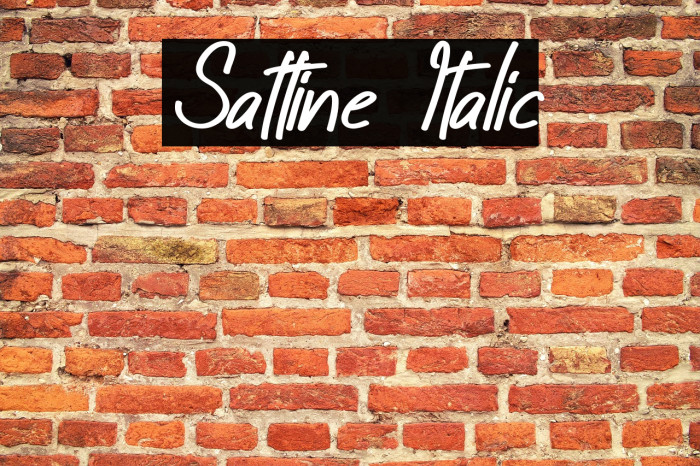 Sattine Italic Example 1