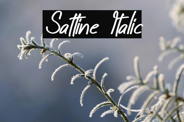 Sattine Italic Example 2