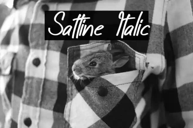 Sattine Italic Font examples