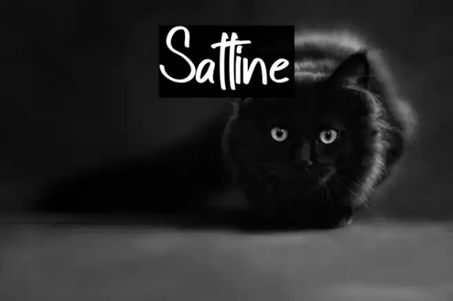 Sattine Font examples