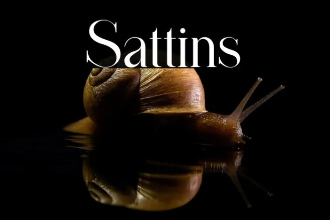 Sattins Example 1