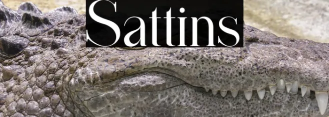 Sattins Example 3