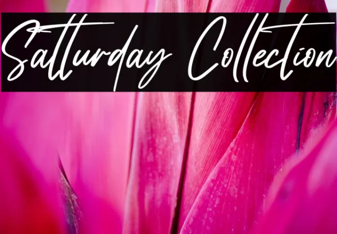 Satturday Collection Example 1