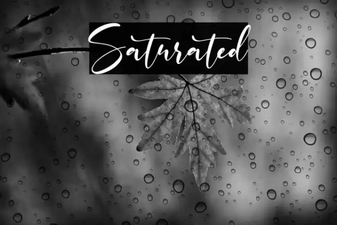 Saturated Font examples