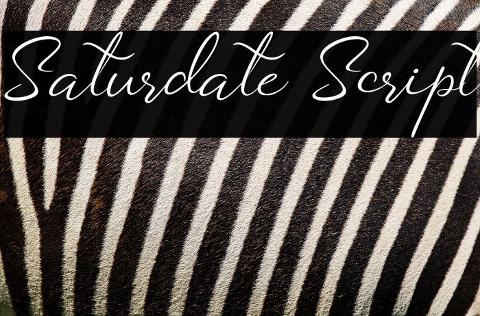 Saturdate Script Example 1