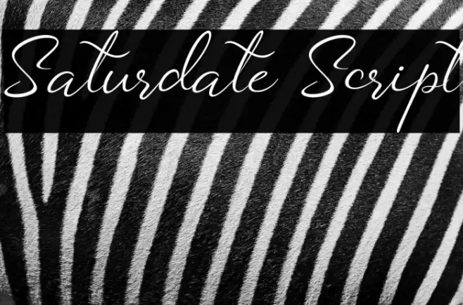 Saturdate Script Font examples