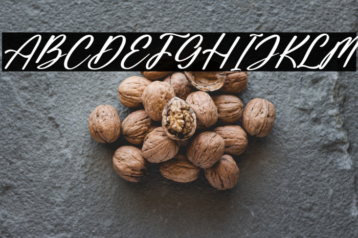 Saturday Bright Italic Example 2