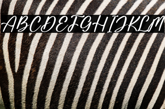 Saturday Bright Example 1