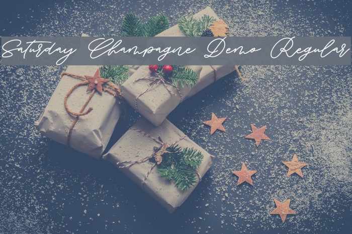 Saturday Champagne Demo Regular Font examples