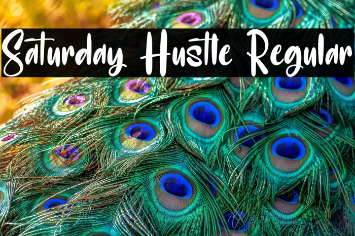 Saturday Hustle Regular Example 3