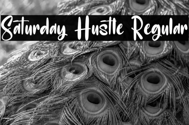 Saturday Hustle Regular Font examples