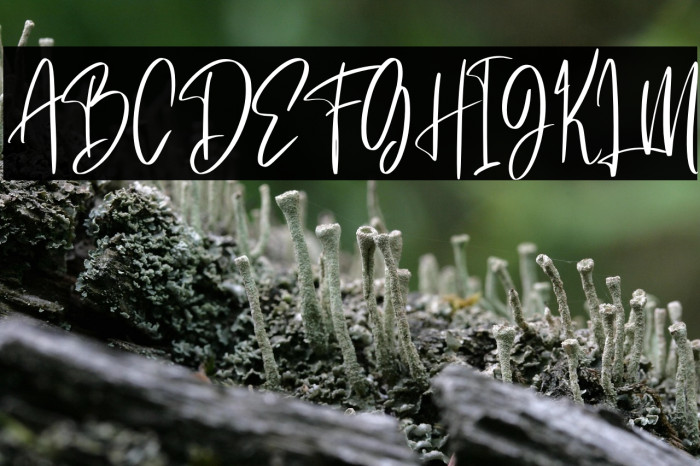 Saturday Lovers Personal Use Example 1