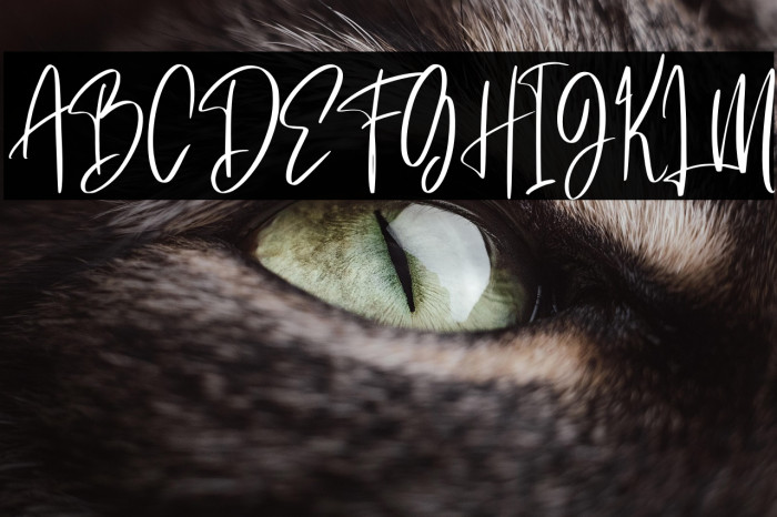 Saturday Lovers Personal Use Example 2