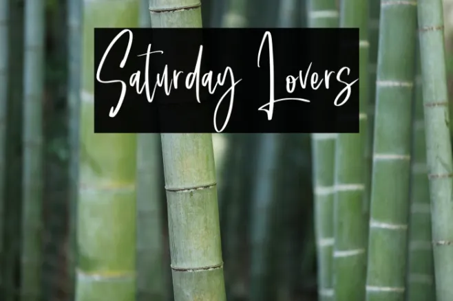 Saturday Lovers Example 2