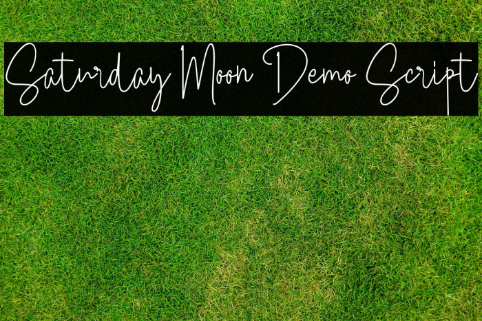Saturday Moon Demo Script Example 1