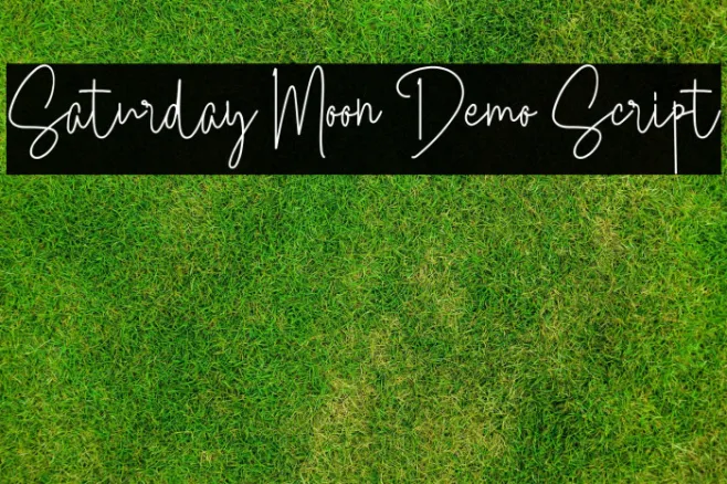 Saturday Moon Demo Script Example 1