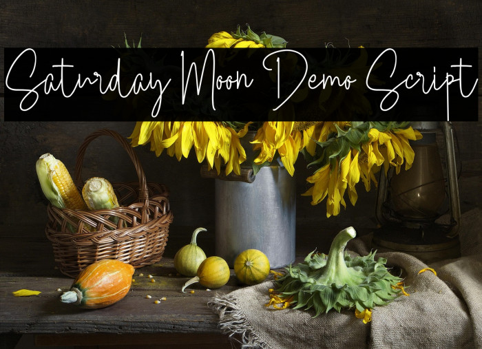 Saturday Moon Demo Script Example 2