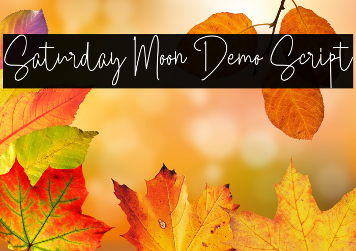 Saturday Moon Demo Script Example 3