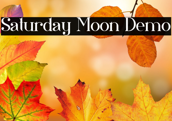 Saturday Moon Demo Example 3