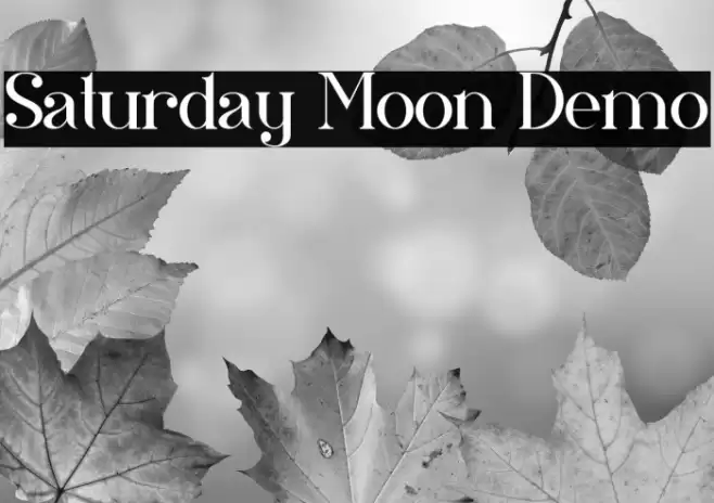 Saturday Moon Demo Font examples