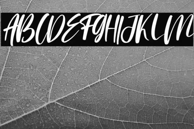 Saturday Morning Italic Font examples