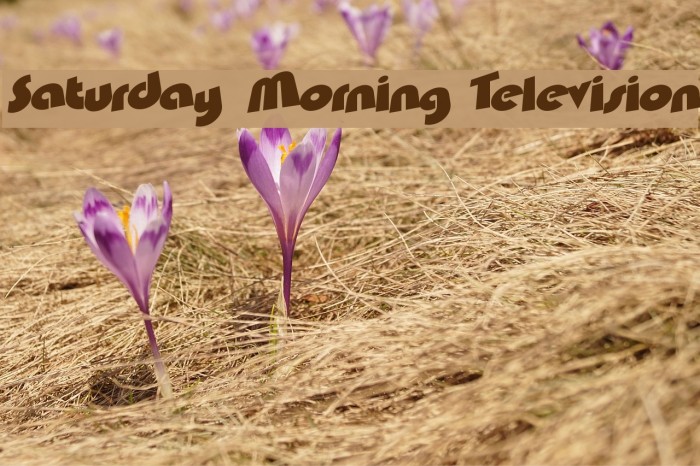 Saturday Morning Television Font examples